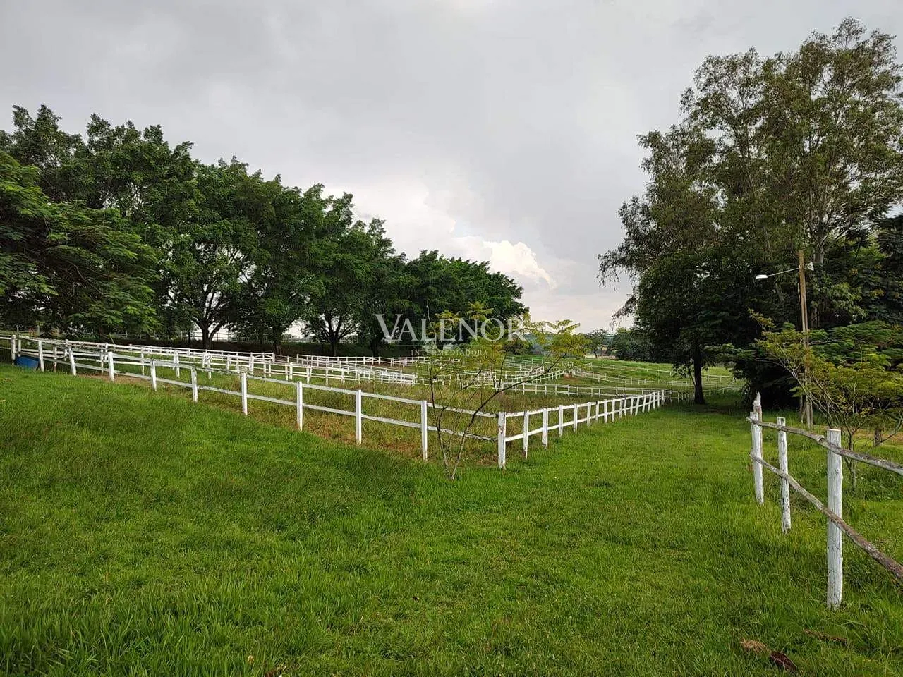 Fazenda, 4 hectares - Foto 10