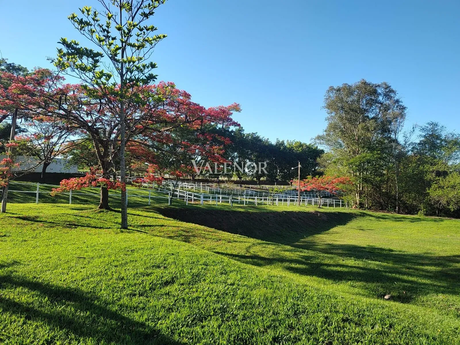 Fazenda, 4 hectares - Foto 13