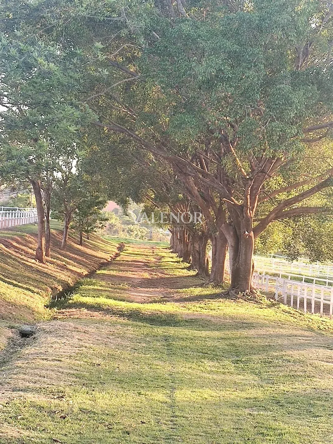 Fazenda, 4 hectares - Foto 14