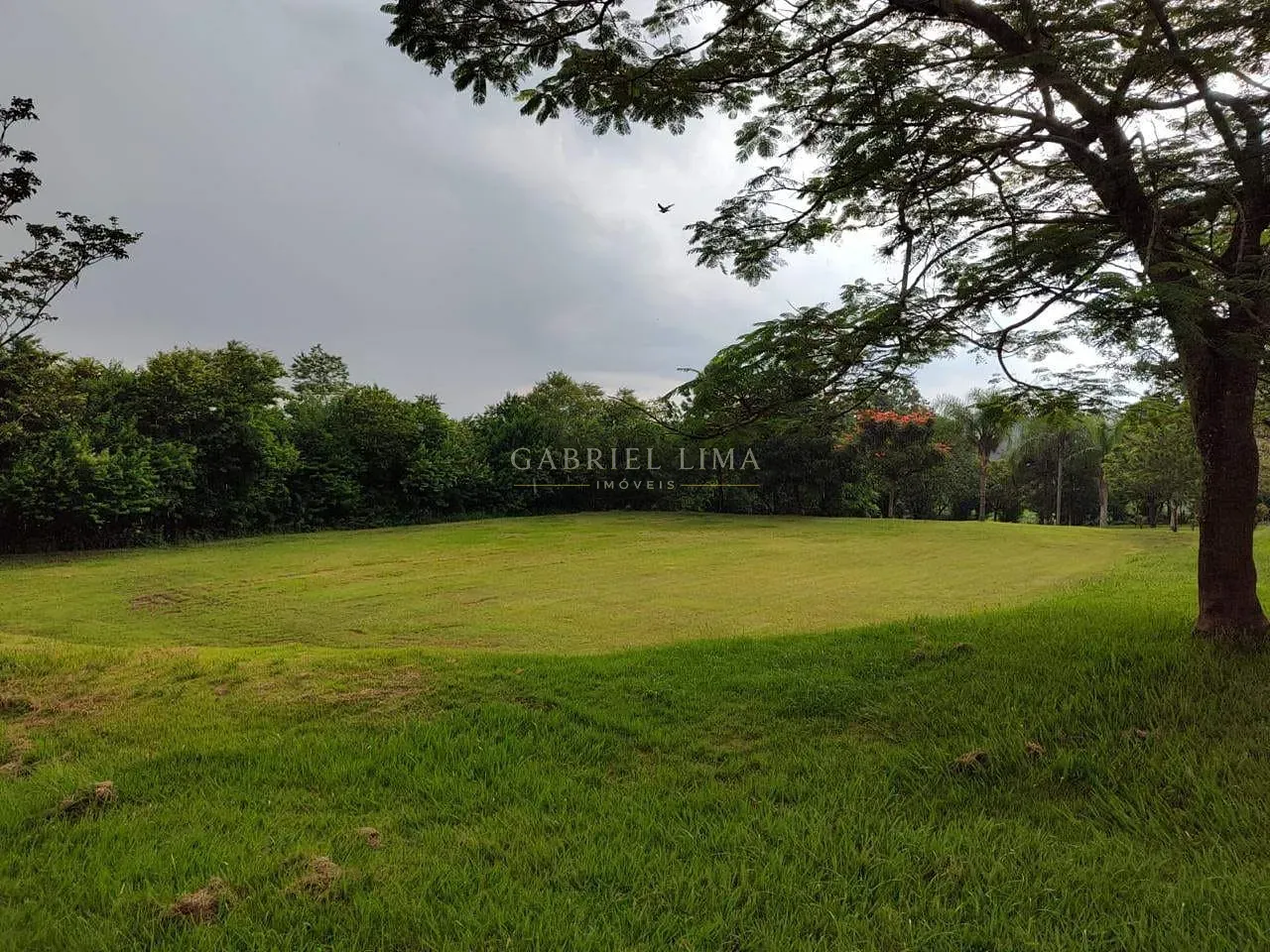 Fazenda, 4 hectares - Foto 9
