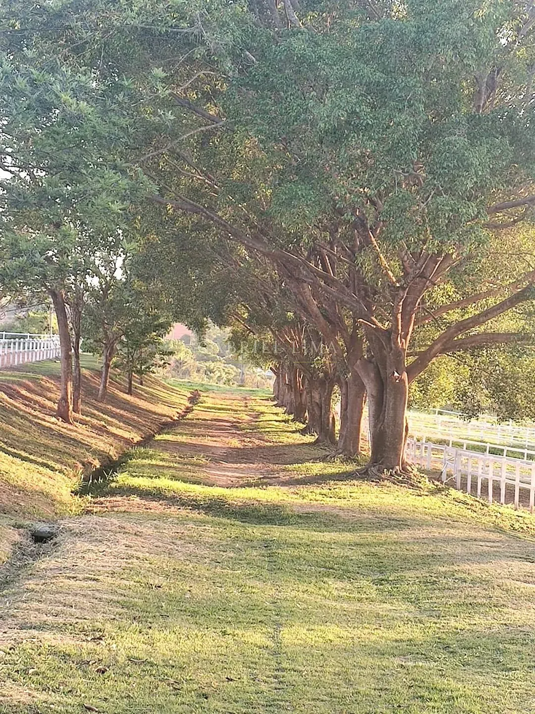 Fazenda, 4 hectares - Foto 14