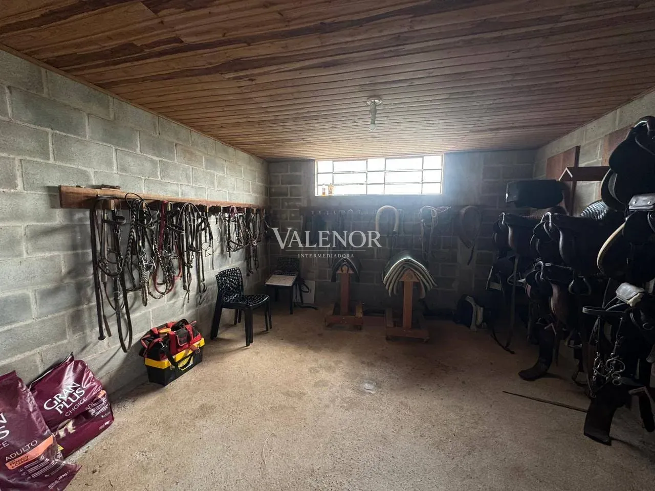 Fazenda, 20 hectares - Foto 11