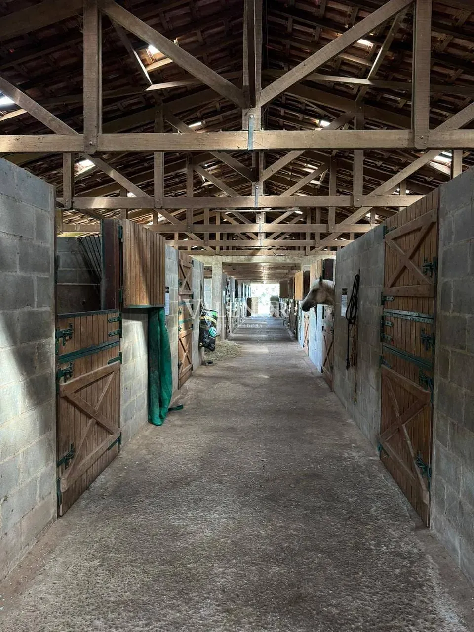 Fazenda, 20 hectares - Foto 4