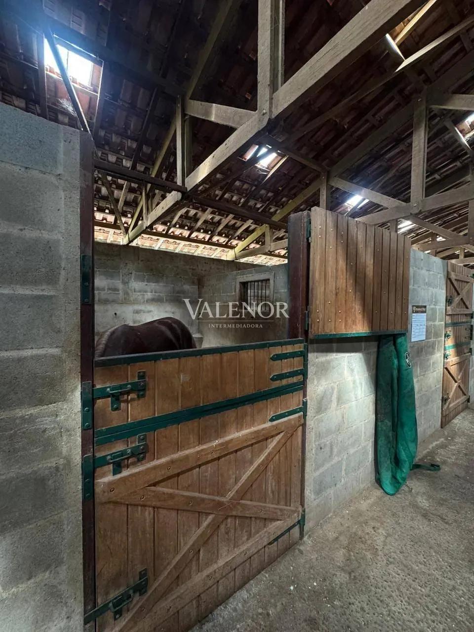 Fazenda, 20 hectares - Foto 3