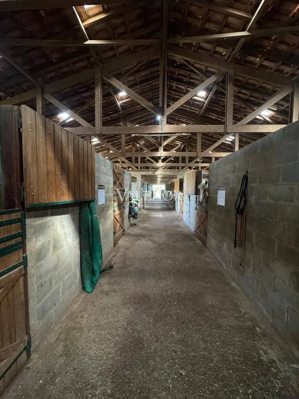 Fazenda, 20 hectares - Foto 8