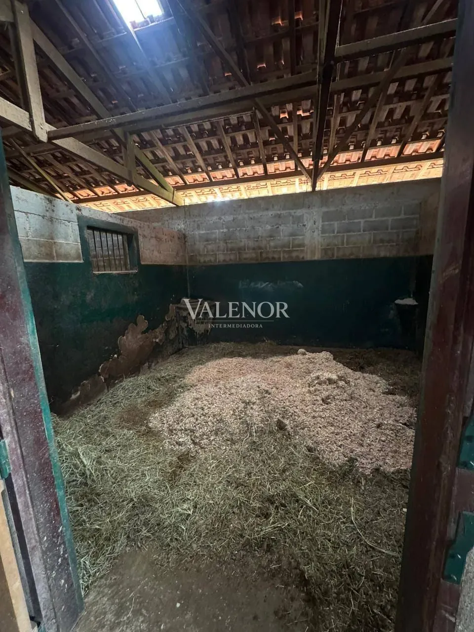 Fazenda, 20 hectares - Foto 16