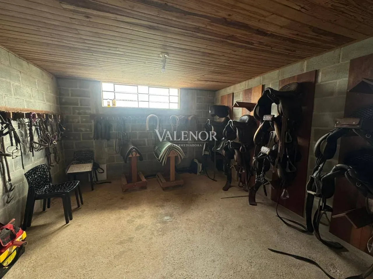 Fazenda, 20 hectares - Foto 13