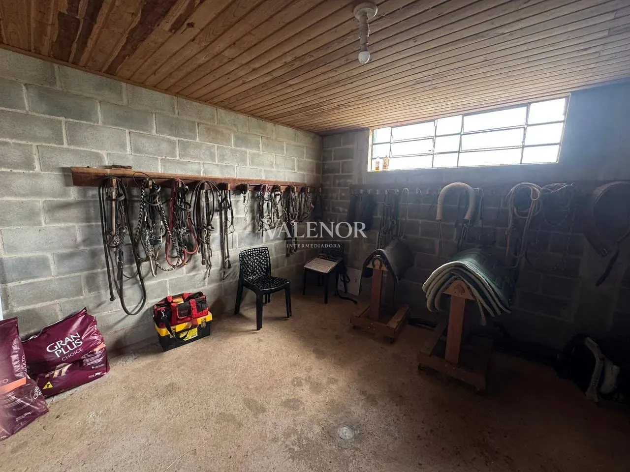 Fazenda, 20 hectares - Foto 14