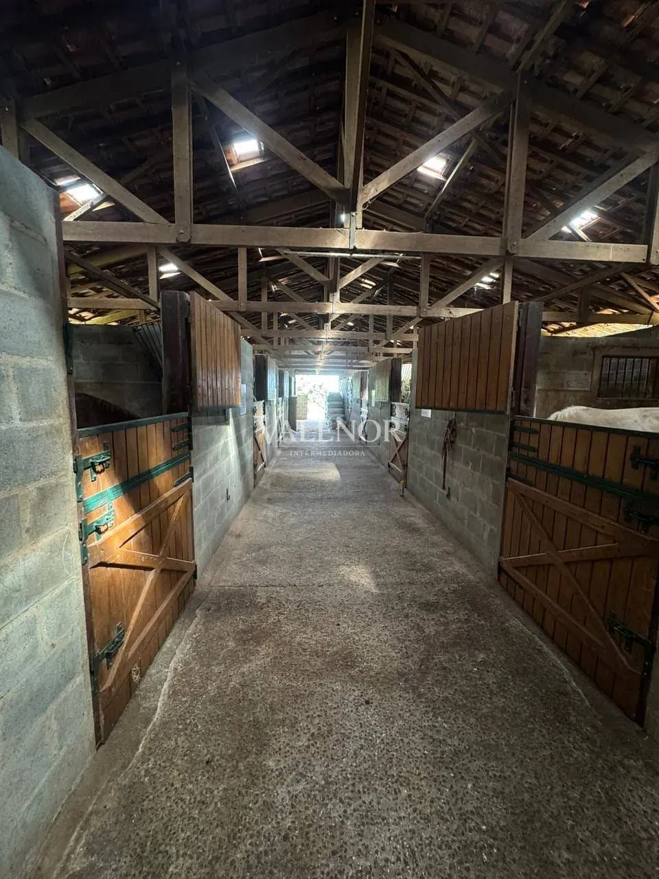 Fazenda, 20 hectares - Foto 10