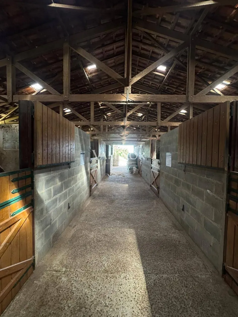 Fazenda, 20 hectares - Foto 6
