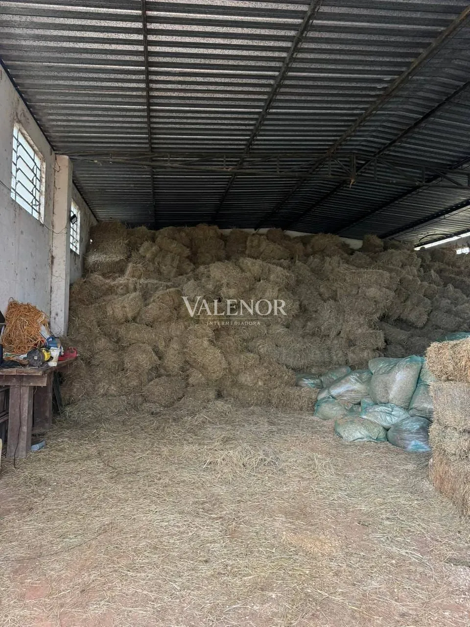 Fazenda, 20 hectares - Foto 22