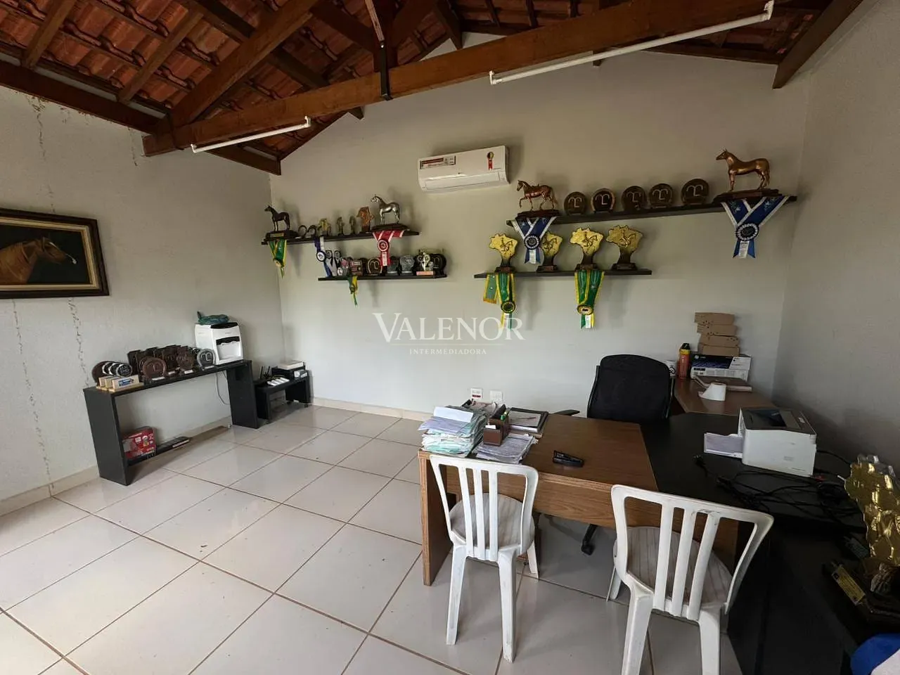 Fazenda, 20 hectares - Foto 25
