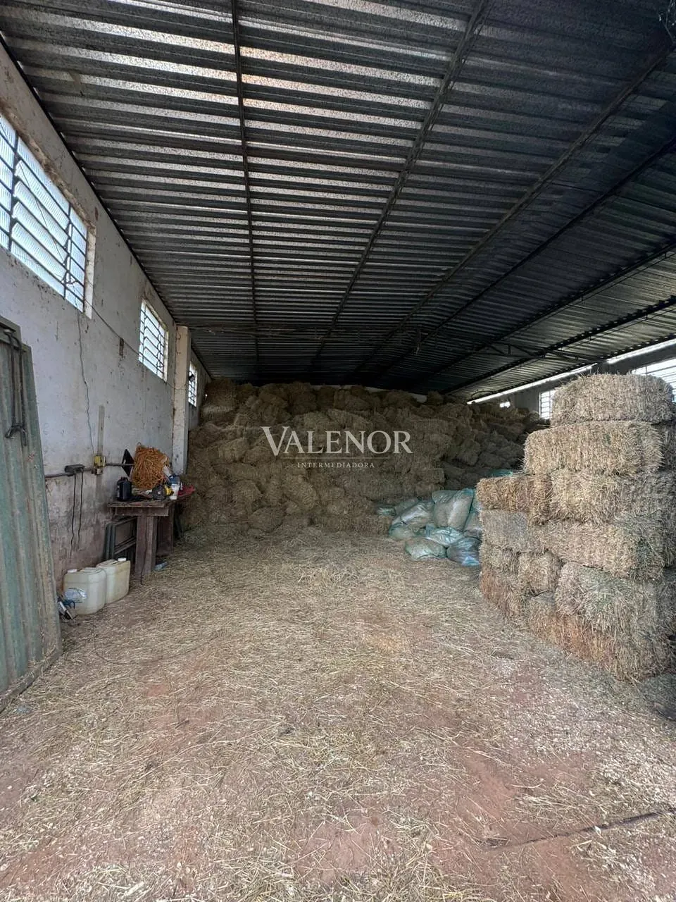 Fazenda, 20 hectares - Foto 23