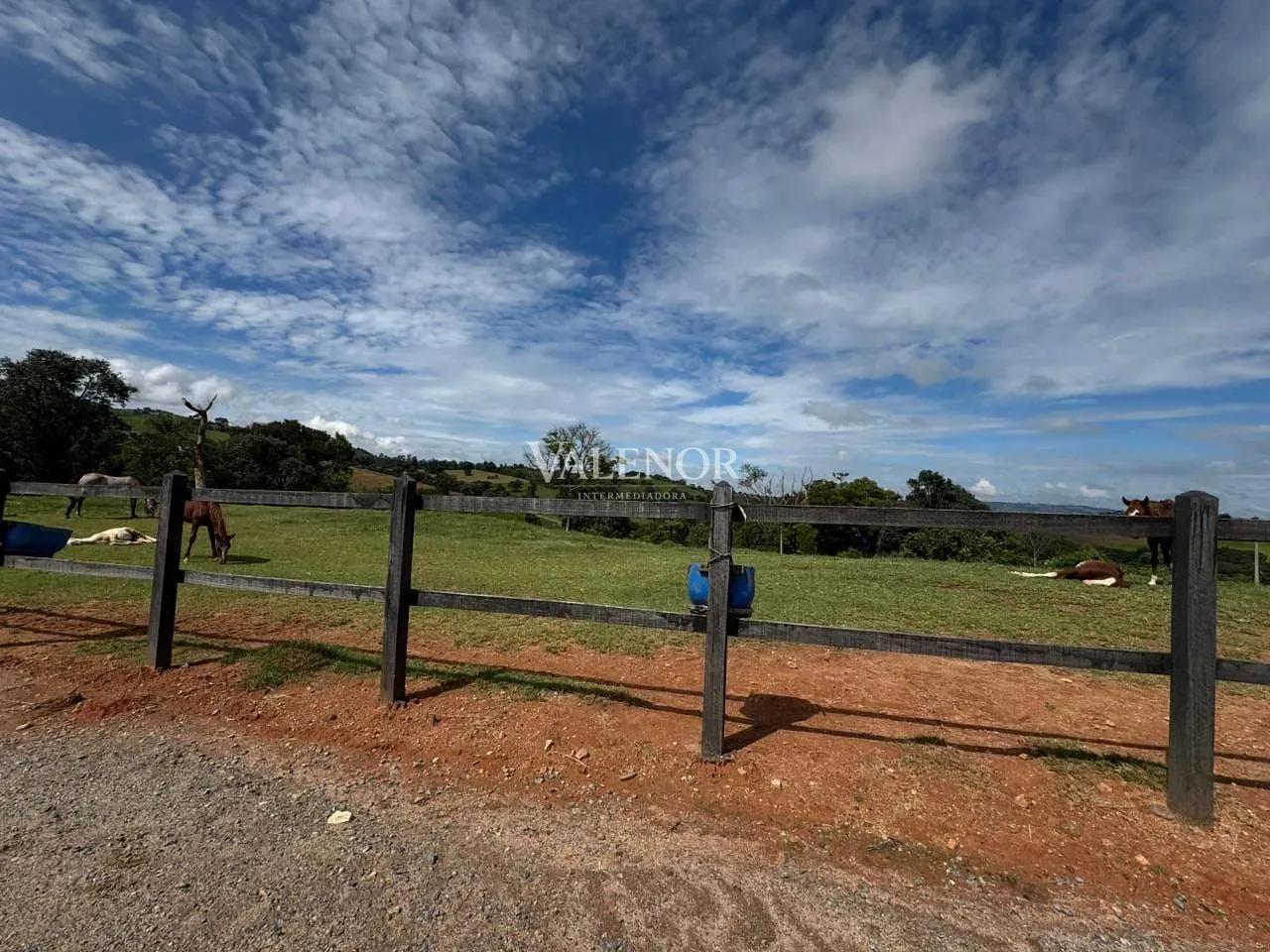 Fazenda, 20 hectares - Foto 31