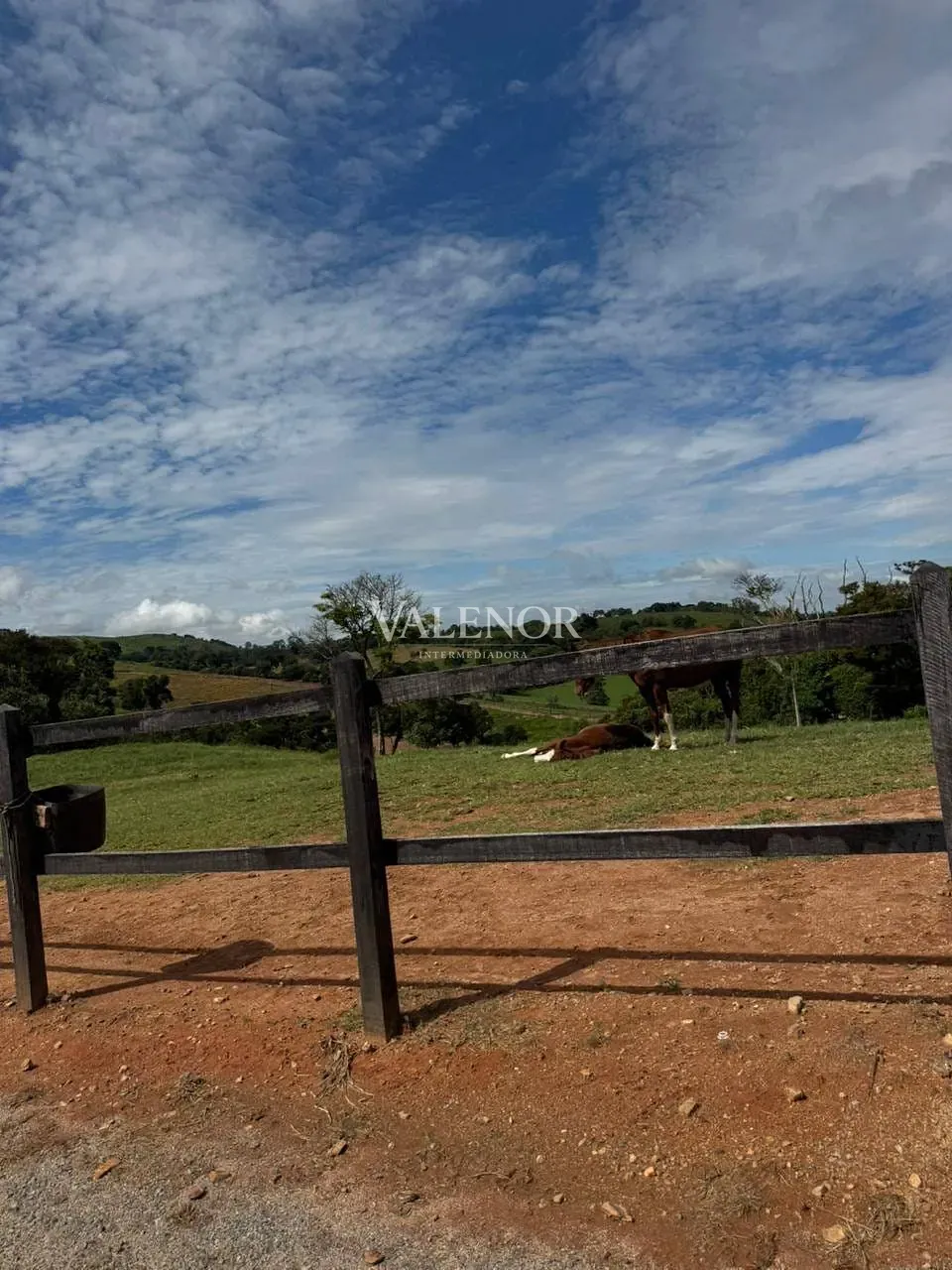 Fazenda, 20 hectares - Foto 32