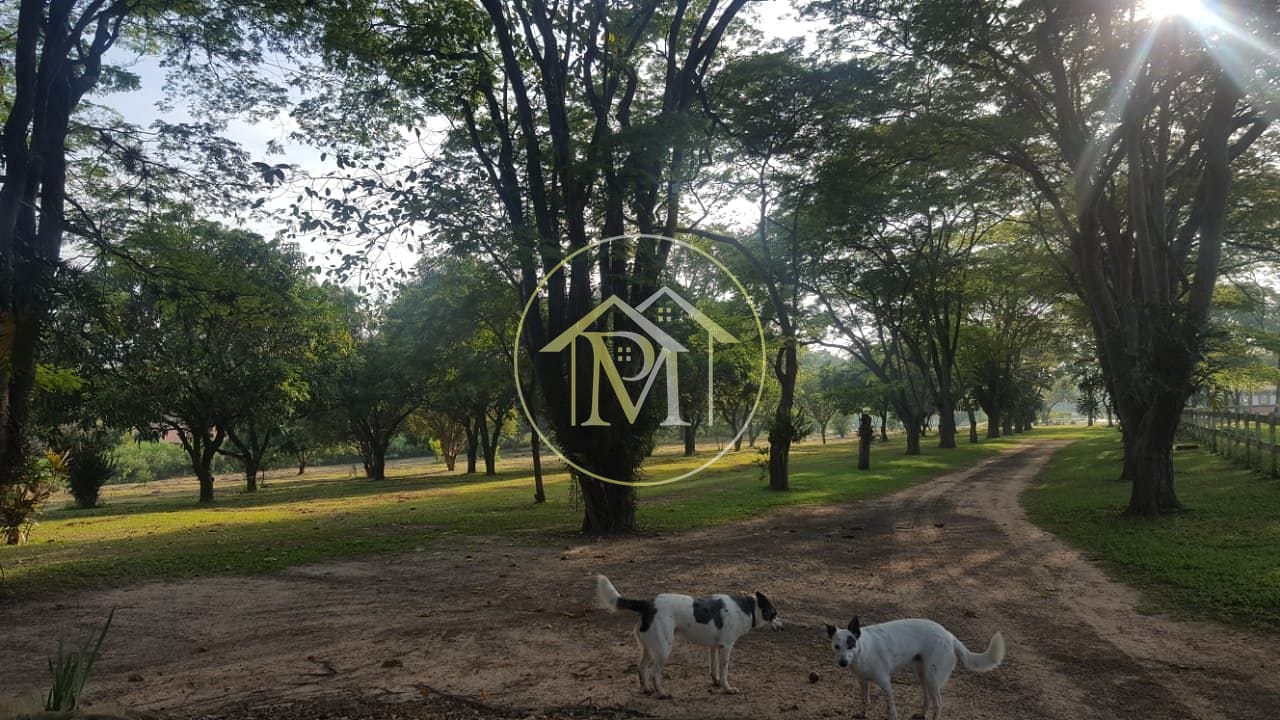 Fazenda, 48 hectares - Foto 15