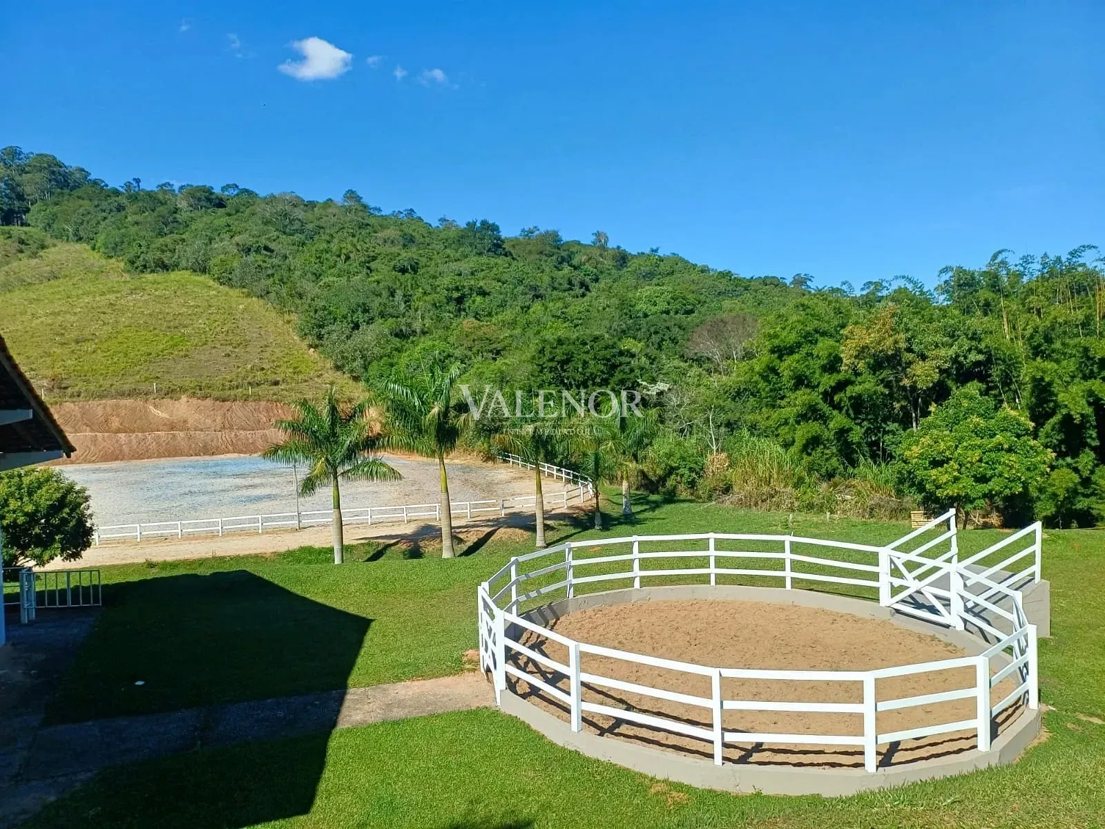 Fazenda, 9 hectares - Foto 8
