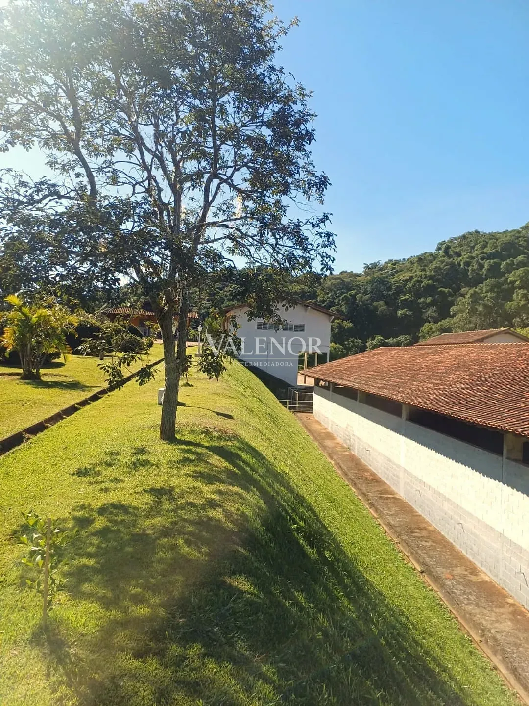 Fazenda, 9 hectares - Foto 3
