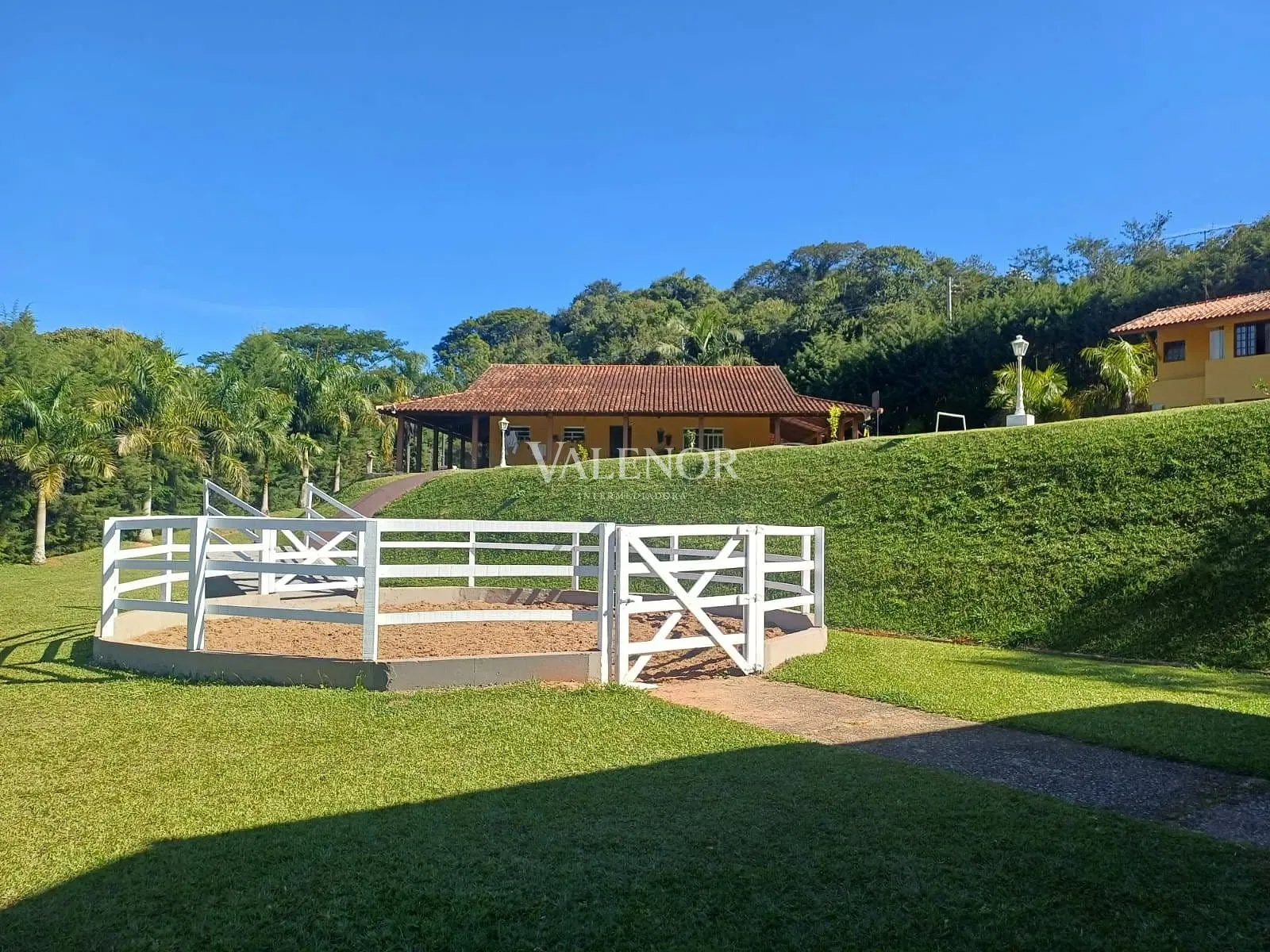 Fazenda, 9 hectares - Foto 7