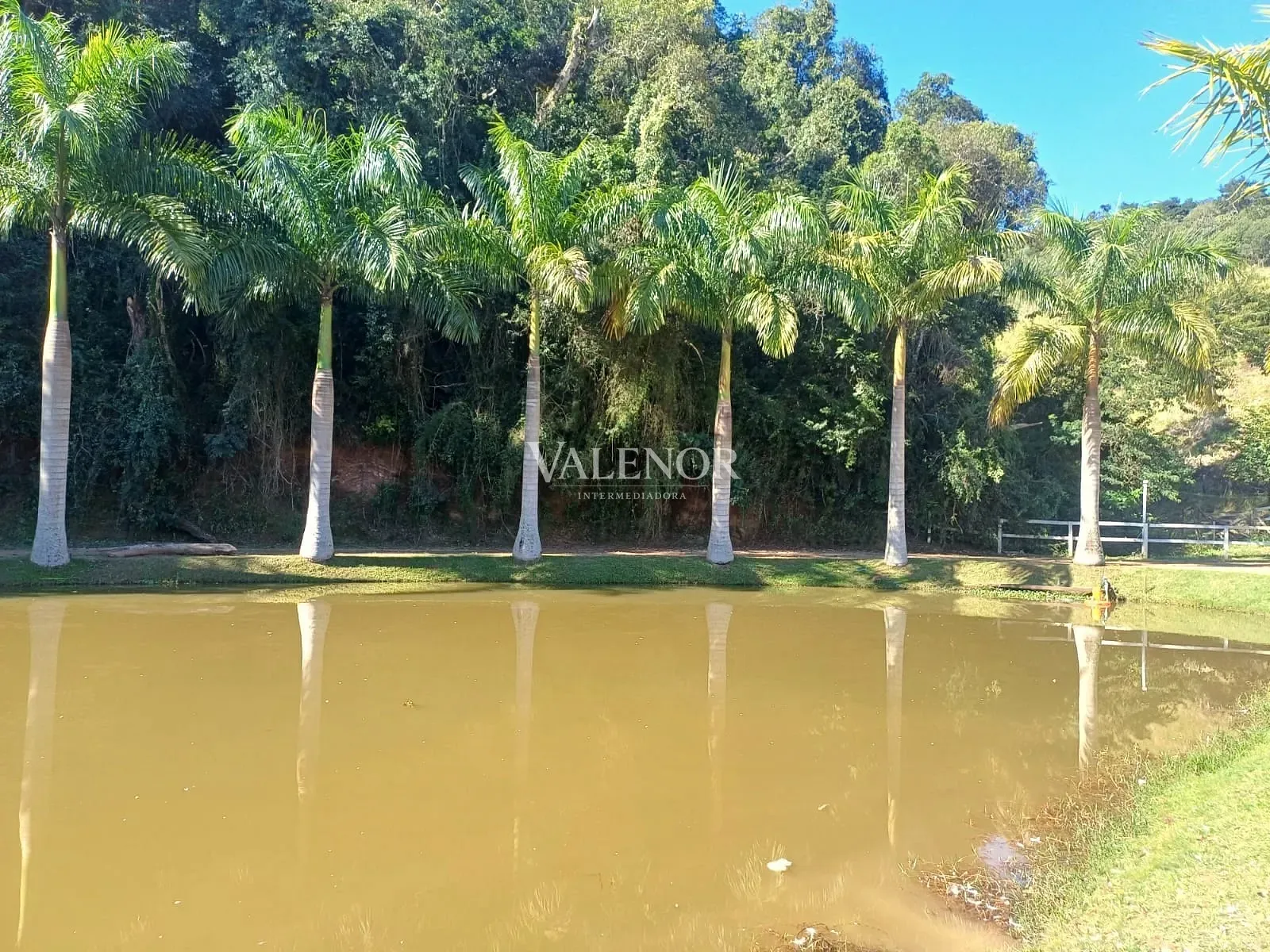 Fazenda, 9 hectares - Foto 60