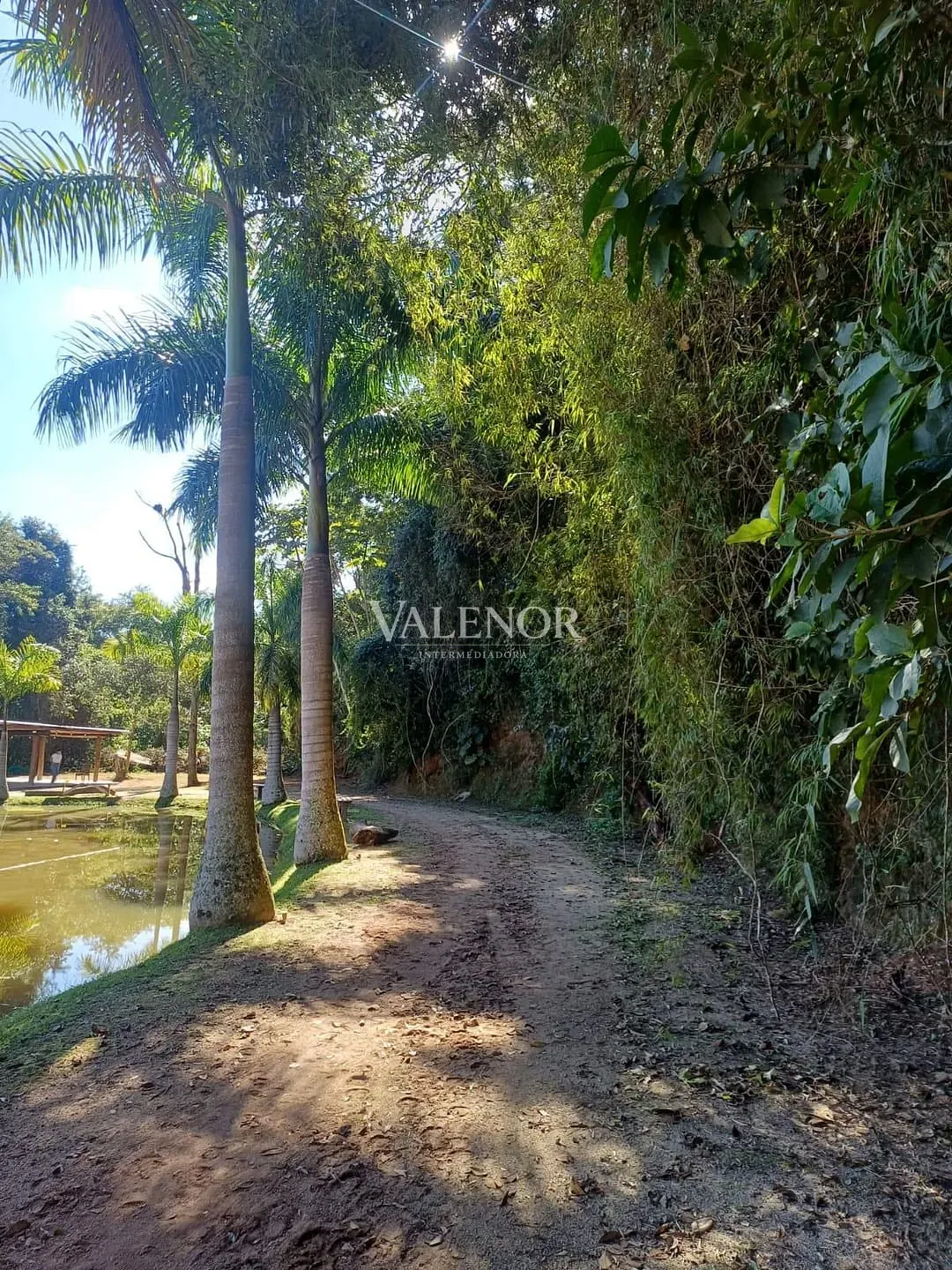 Fazenda, 9 hectares - Foto 30