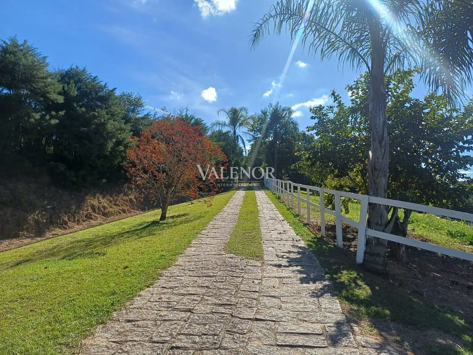 Fazenda, 9 hectares - Foto 42