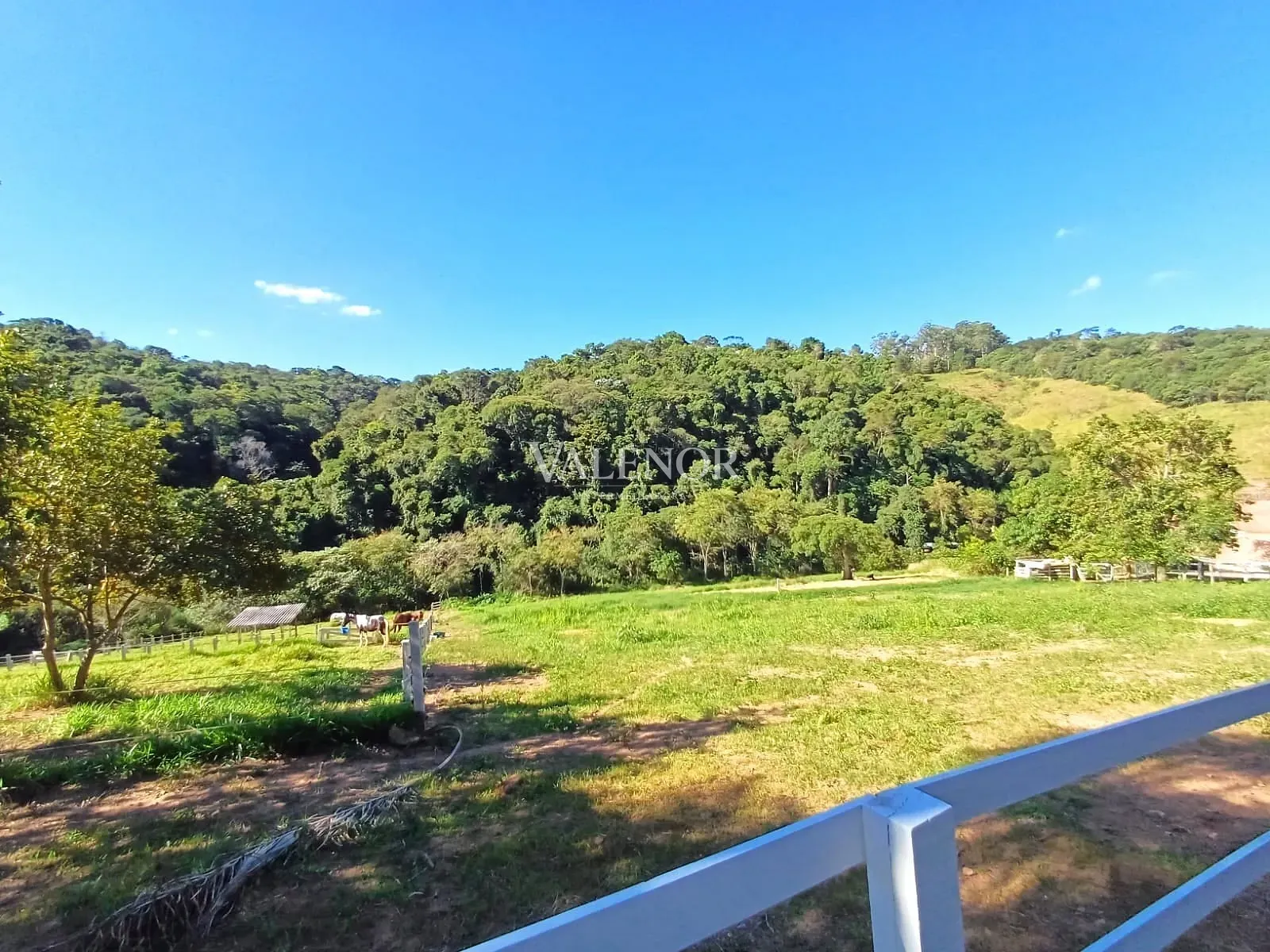 Fazenda, 9 hectares - Foto 43