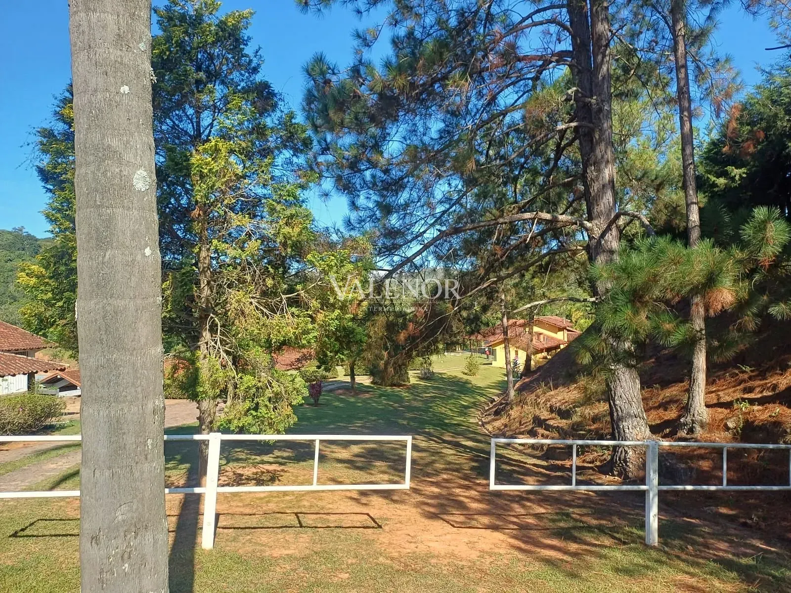 Fazenda, 9 hectares - Foto 44