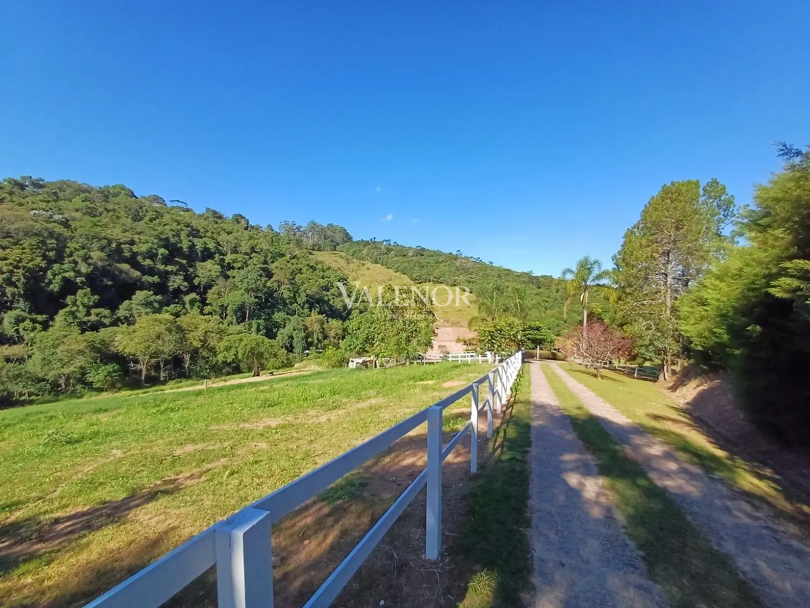 Fazenda, 9 hectares - Foto 45