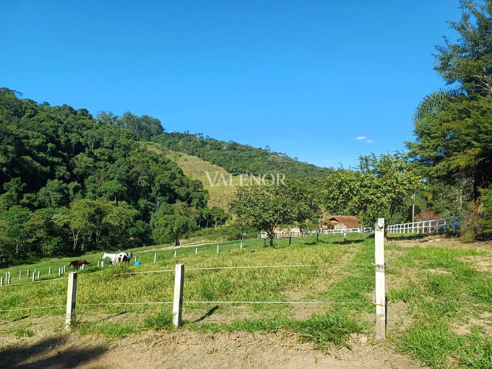 Fazenda, 9 hectares - Foto 65
