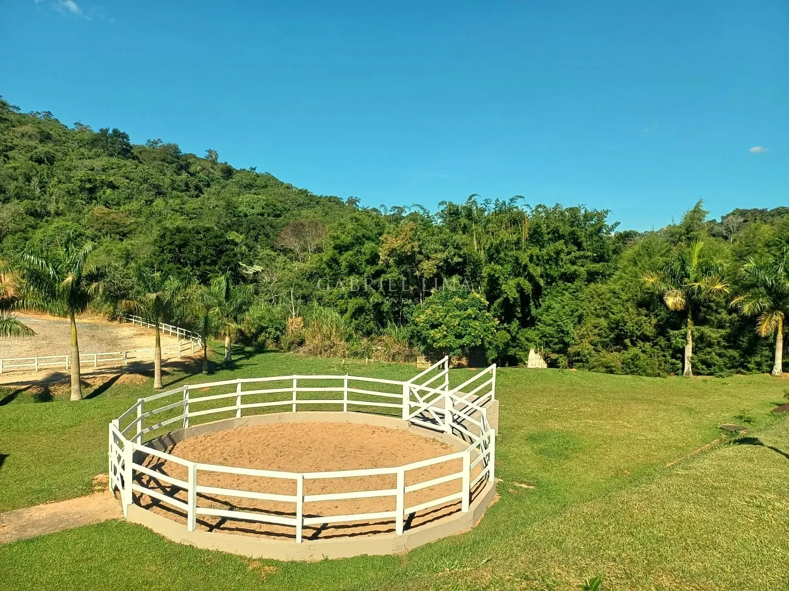 Fazenda, 9 hectares - Foto 6