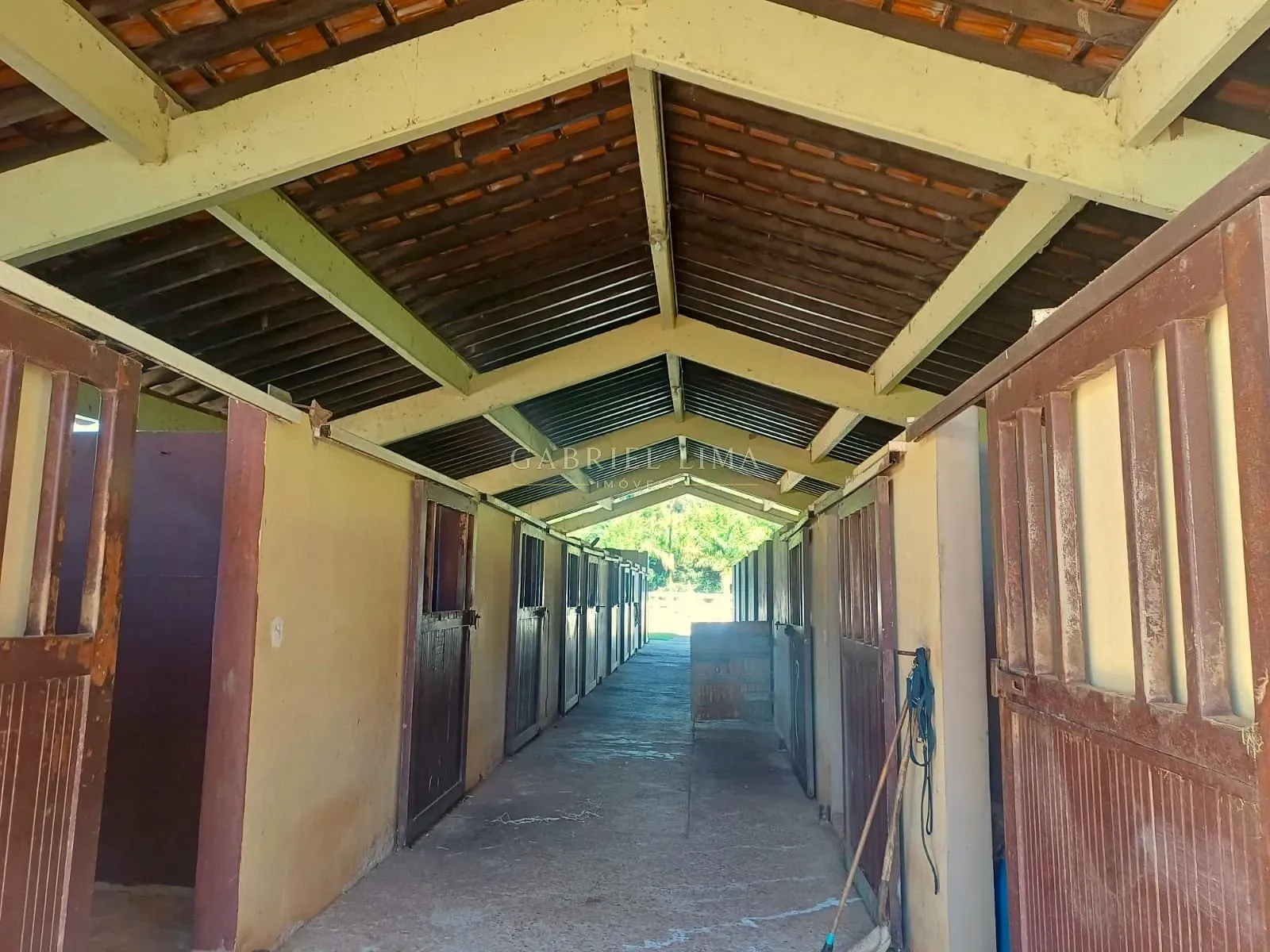 Fazenda, 9 hectares - Foto 9