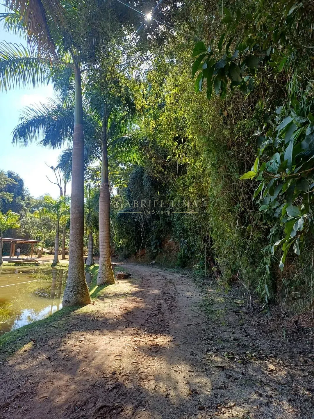 Fazenda, 9 hectares - Foto 30