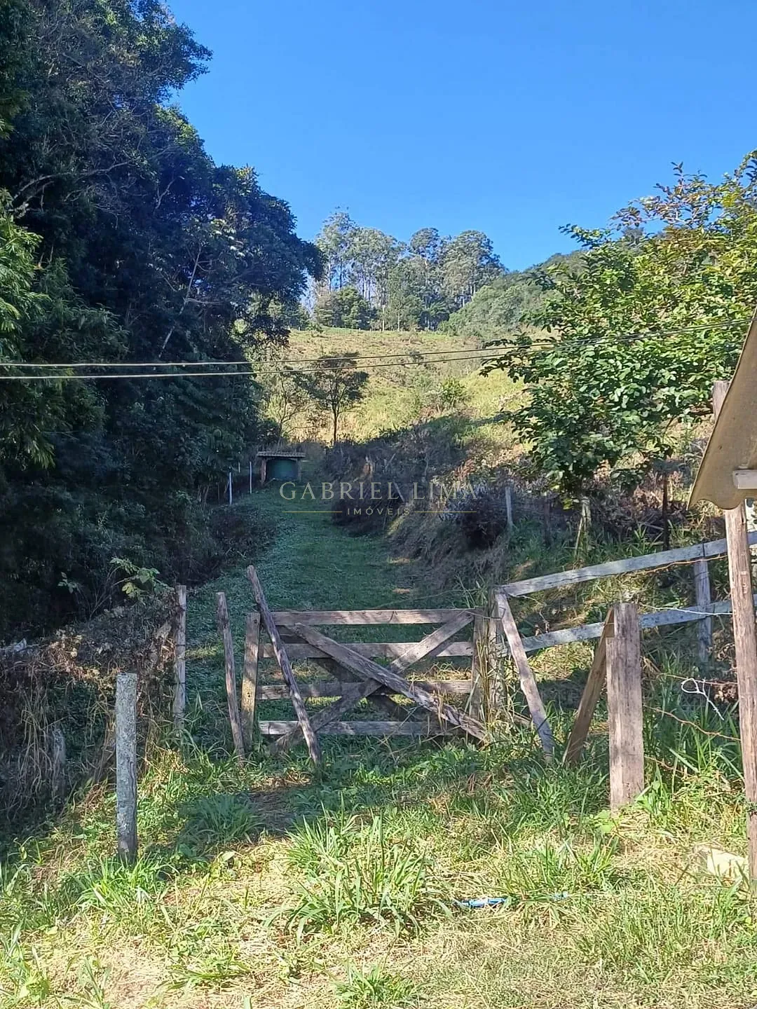 Fazenda, 9 hectares - Foto 31