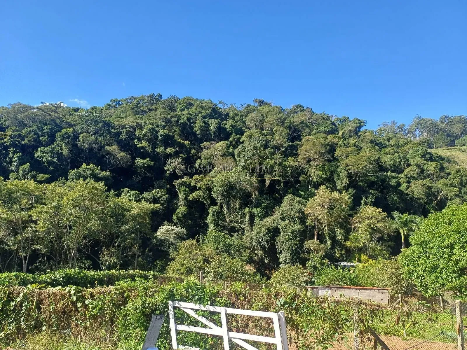 Fazenda, 9 hectares - Foto 38