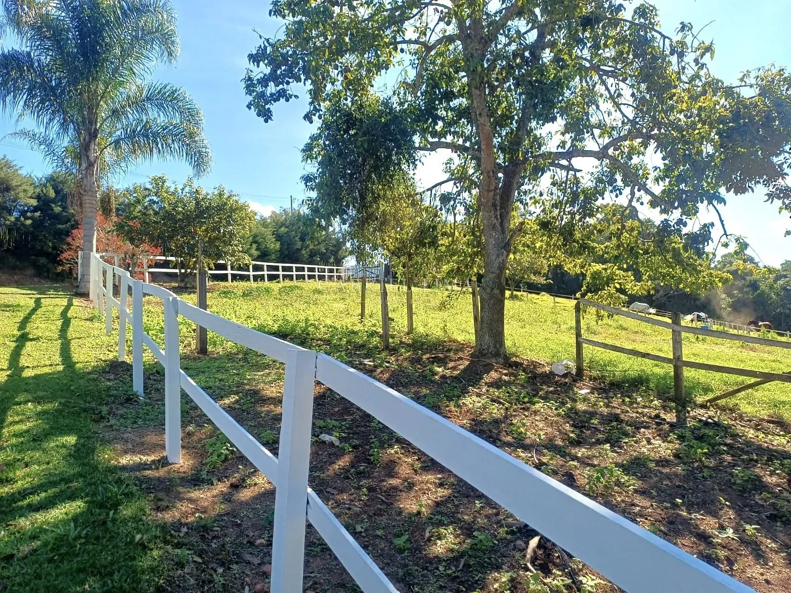 Fazenda, 9 hectares - Foto 40