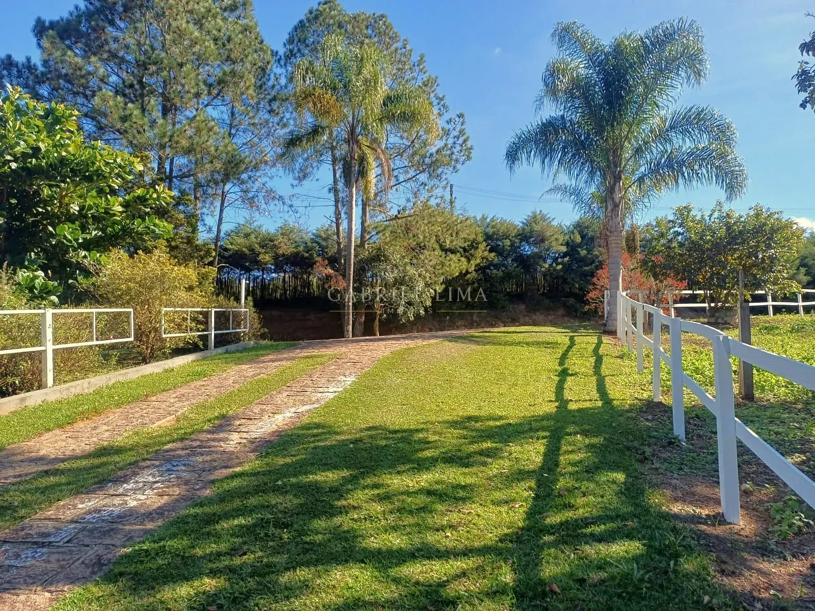 Fazenda, 9 hectares - Foto 63