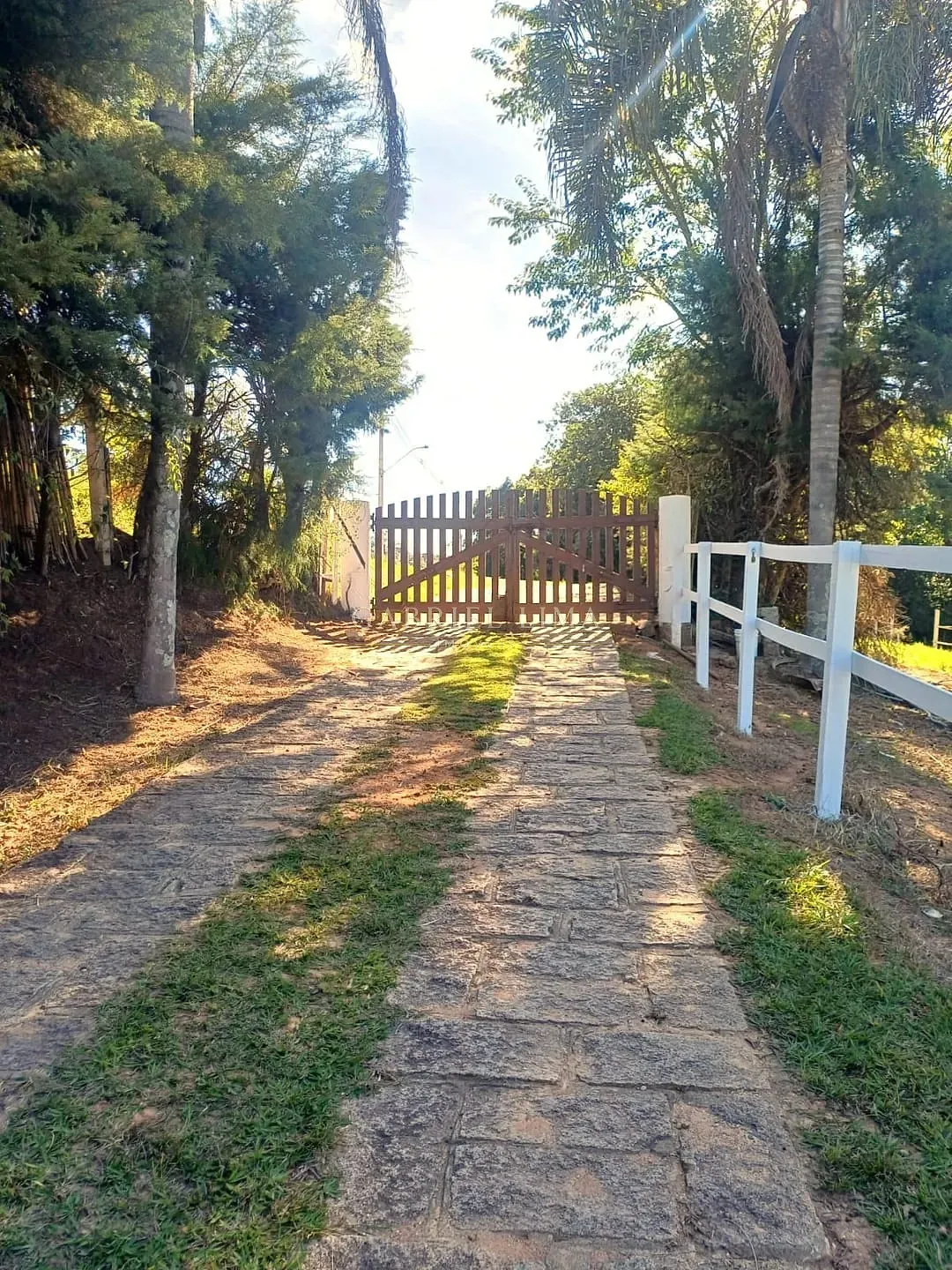 Fazenda, 9 hectares - Foto 64