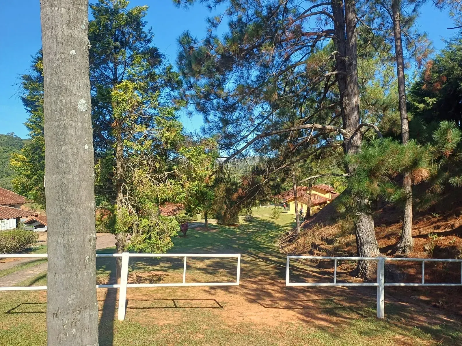 Fazenda, 9 hectares - Foto 44