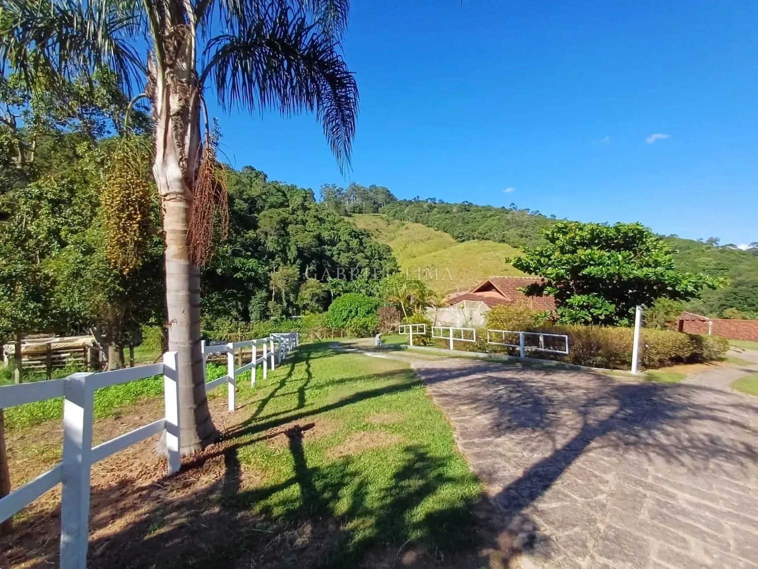Fazenda, 9 hectares - Foto 15