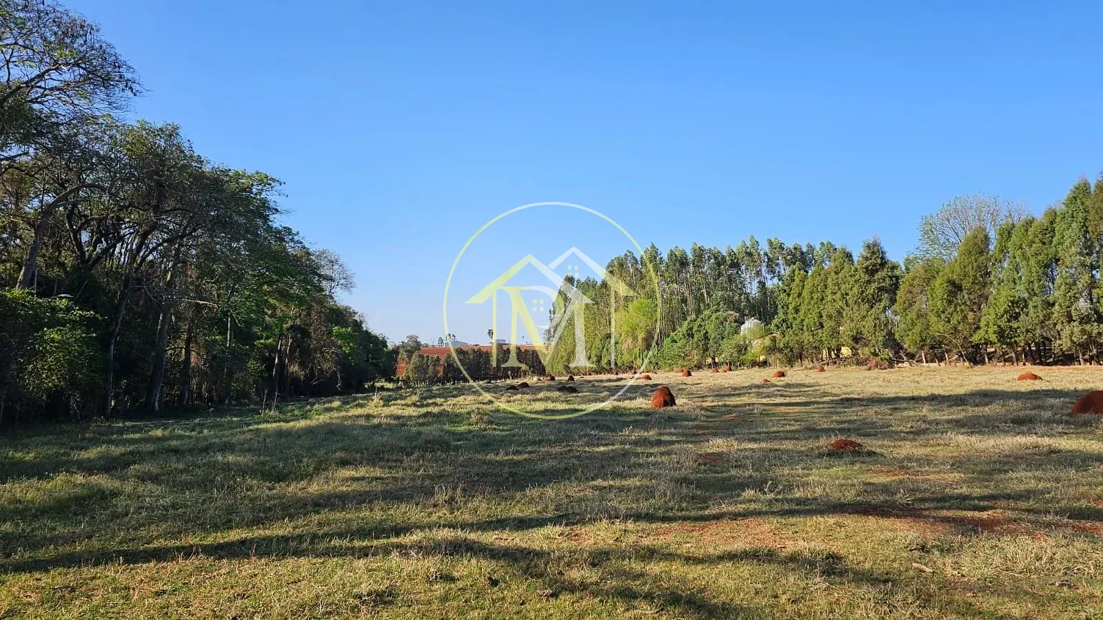 Apartamento, 3 quartos, 10 m² - Foto 21