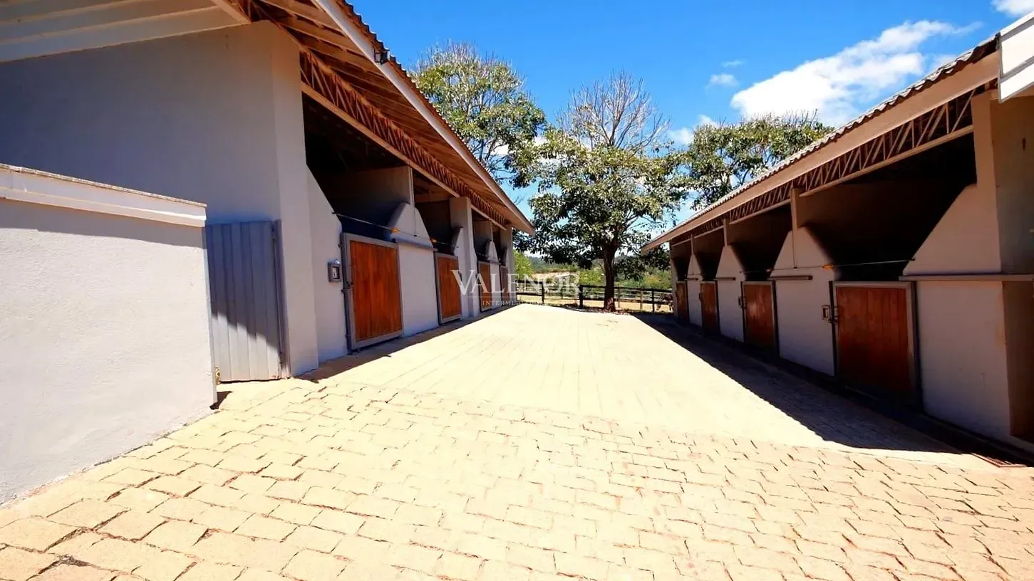 Fazenda, 39 hectares - Foto 3