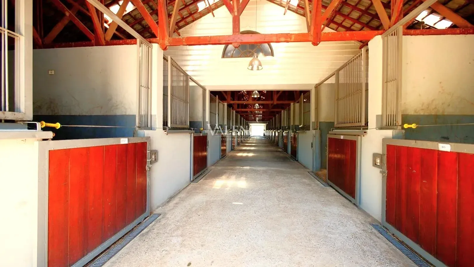 Fazenda, 39 hectares - Foto 2
