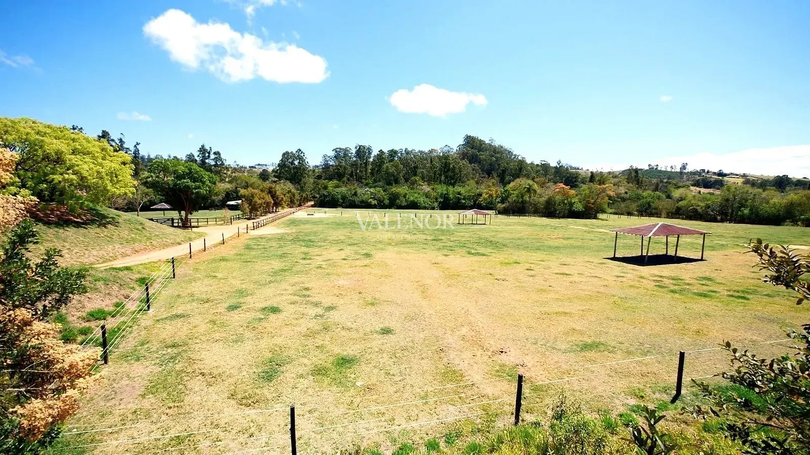 Fazenda, 39 hectares - Foto 10