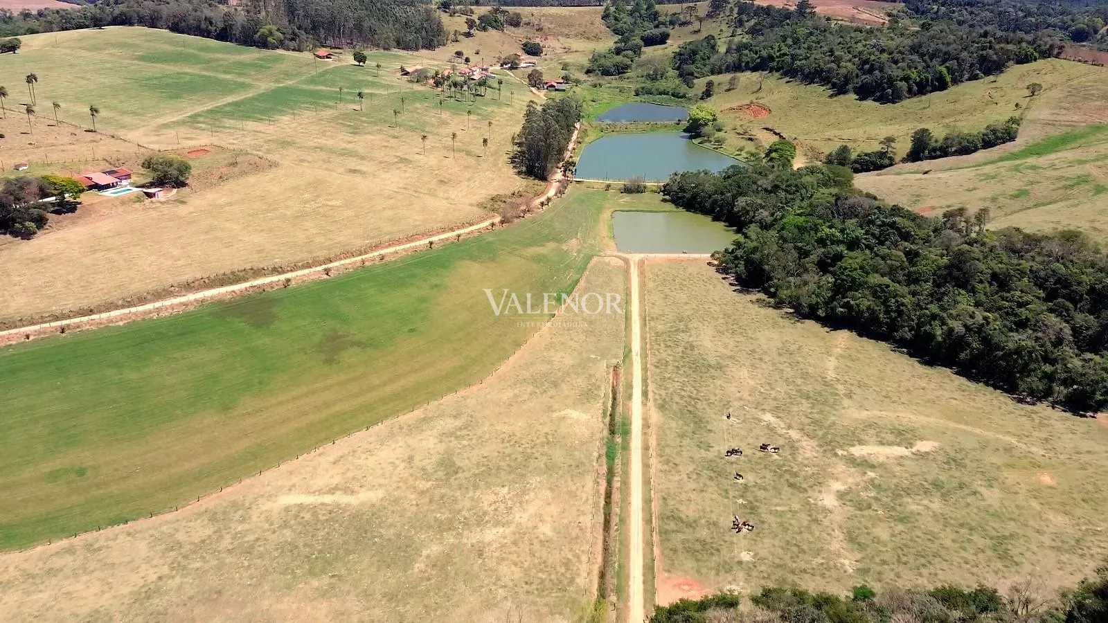 Fazenda, 39 hectares - Foto 12