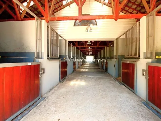 Haras com 387200m² 3 quartos e 4 banheiros, à venda, no bairro Matadouro em Bragança Paulista