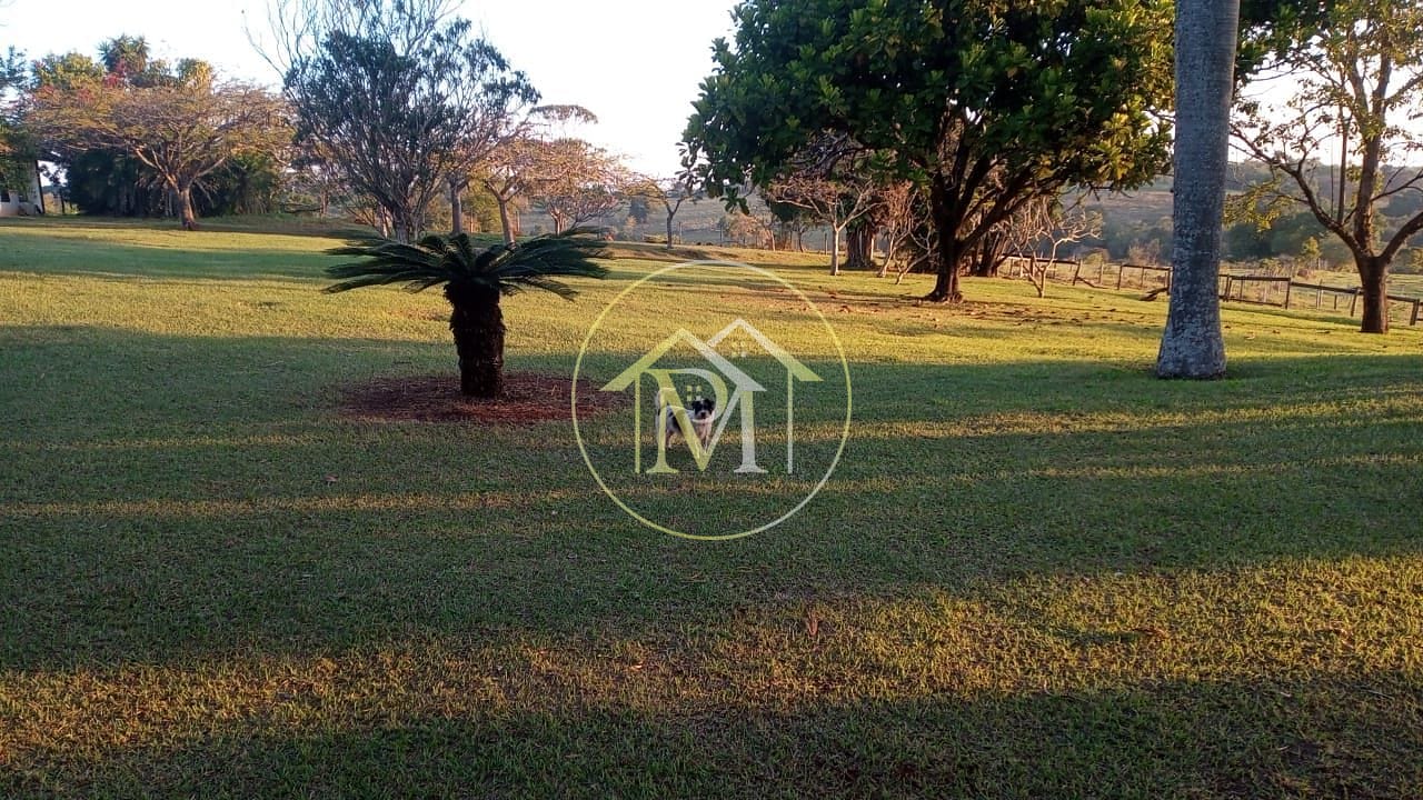 Fazenda à venda com 8 quartos, 10m² - Foto 34
