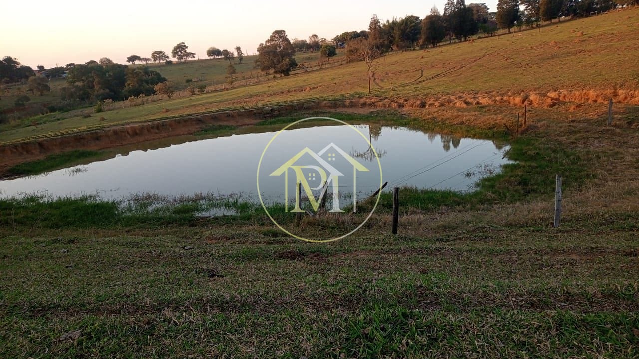 Fazenda à venda com 8 quartos, 10m² - Foto 39