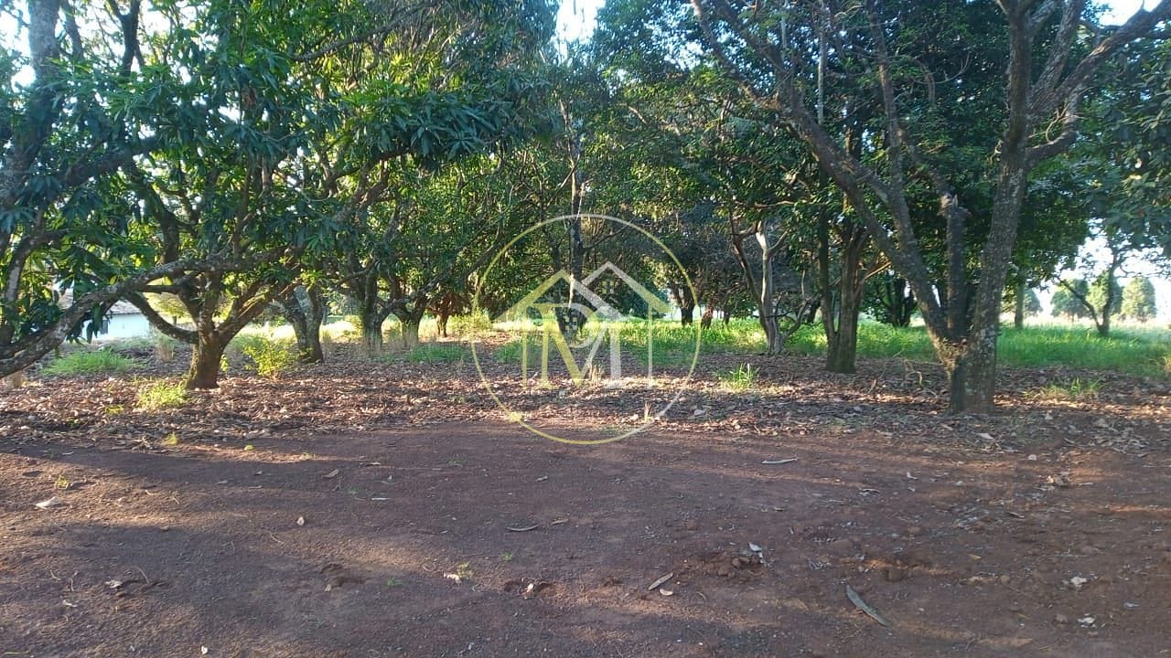 Fazenda à venda com 8 quartos, 10m² - Foto 32