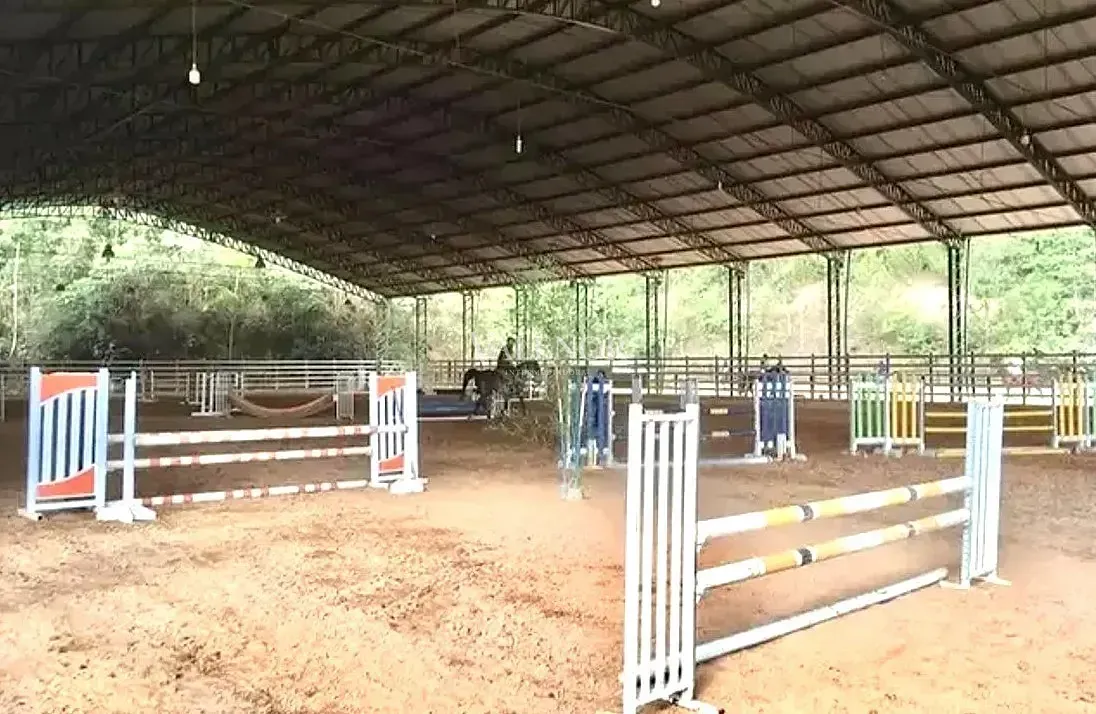 Fazenda, 22 hectares - Foto 4